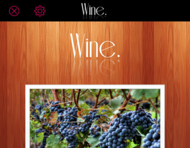 How to Taste Wine – Complete Guide to Wine Tasting